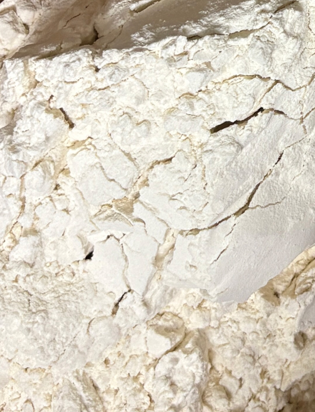 farina granulosità focus